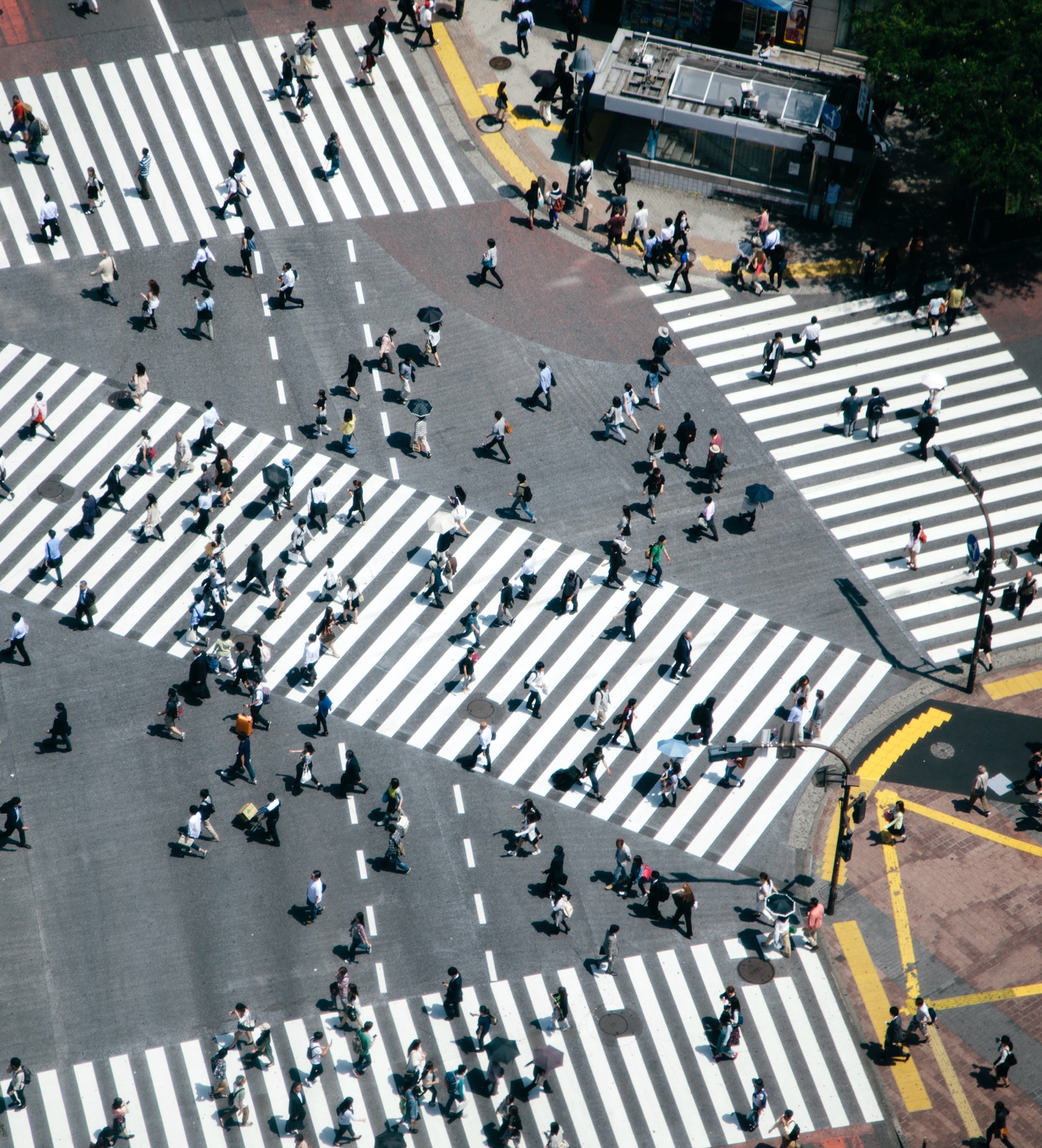 2025-asia-pacific-investor-intentions-survey-cover-image