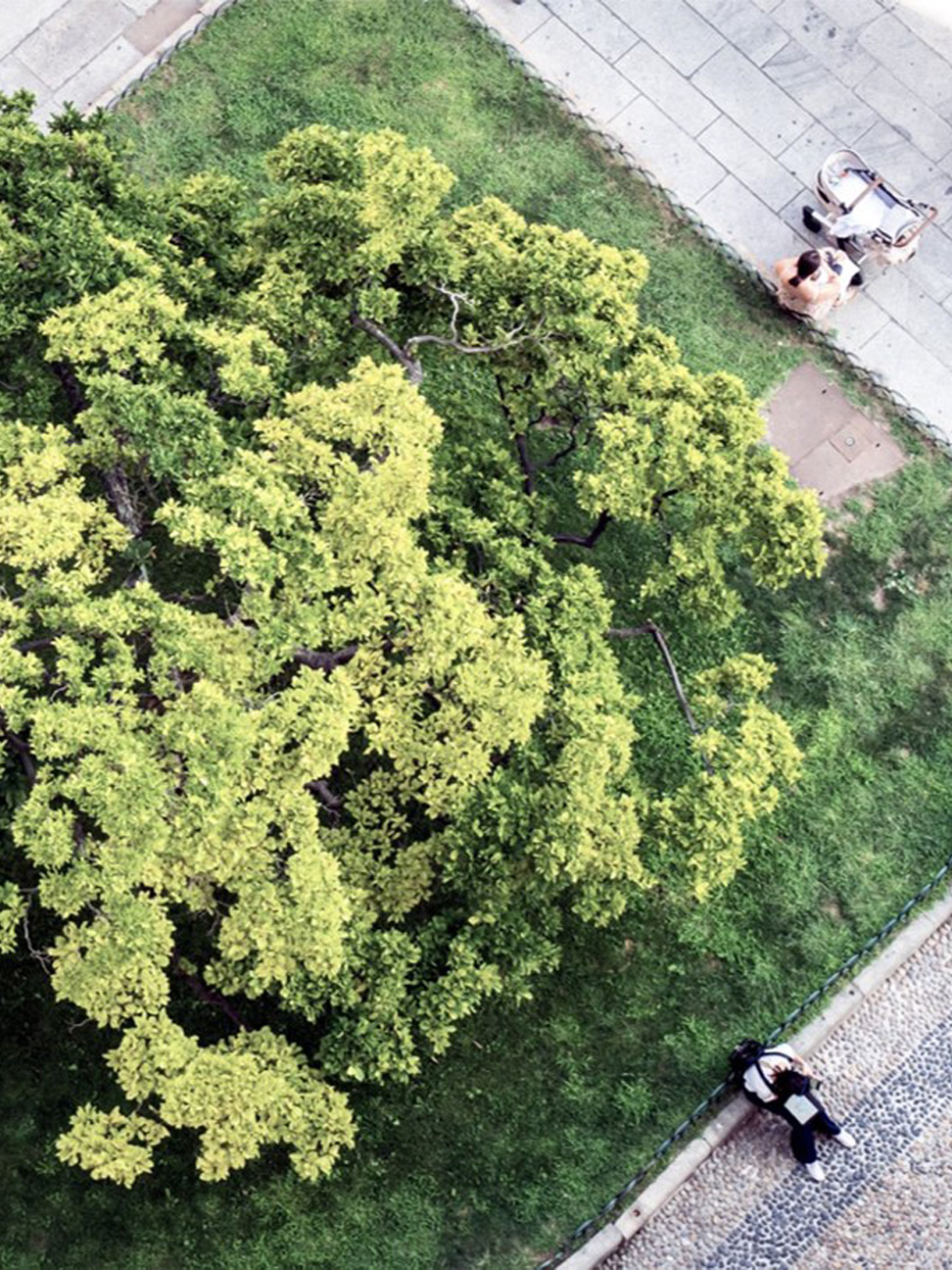 asia-pacific-real-estate-chief-sustainability-officer-survey-banner_972x1296