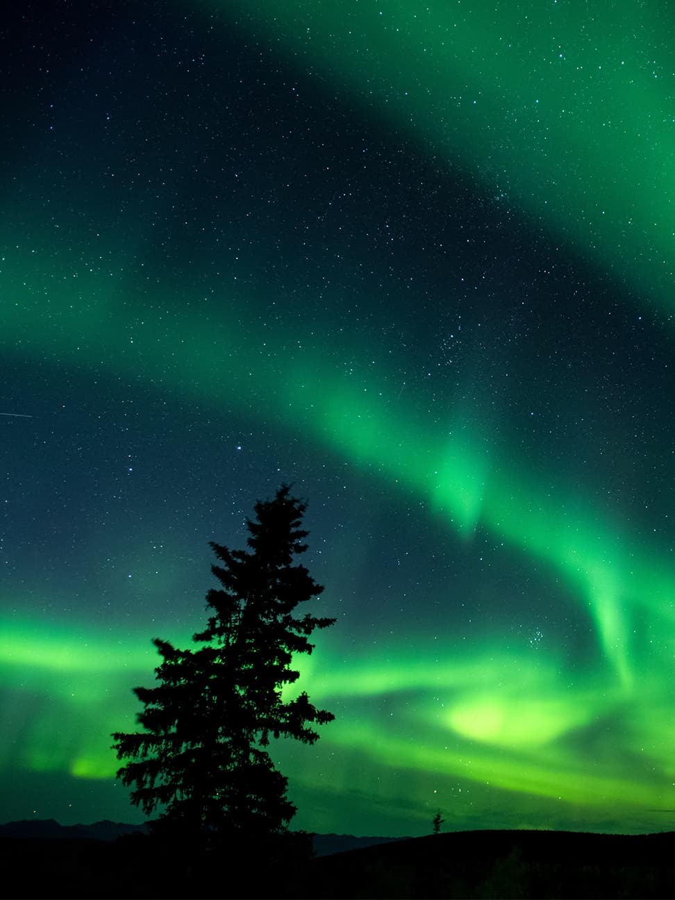 The Northern Lights in Yukon