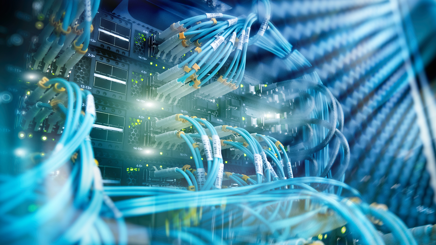 network cables
