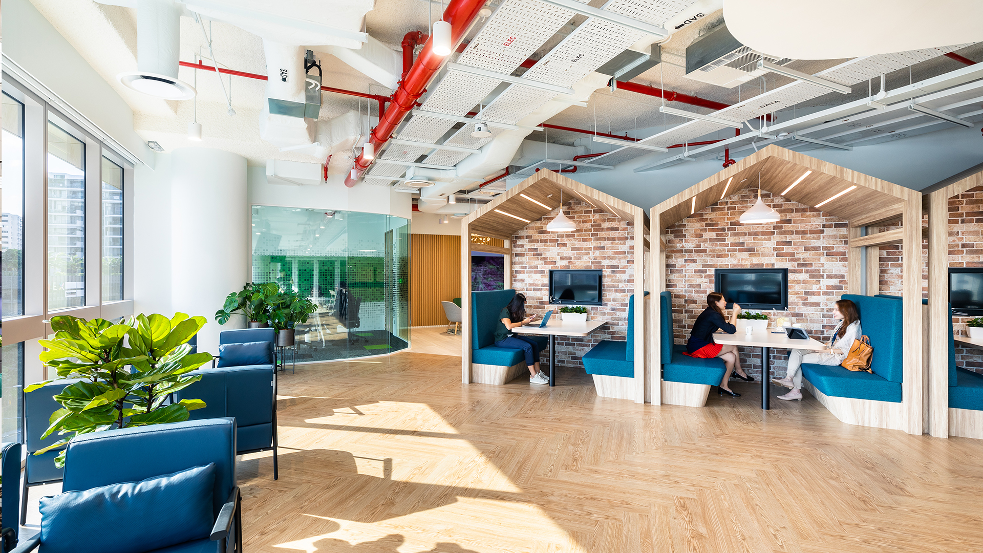 Bayer office