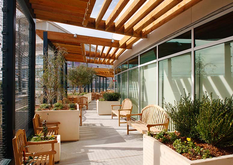 healthcarepjm-georgiaregents-wysiwyg-776x550