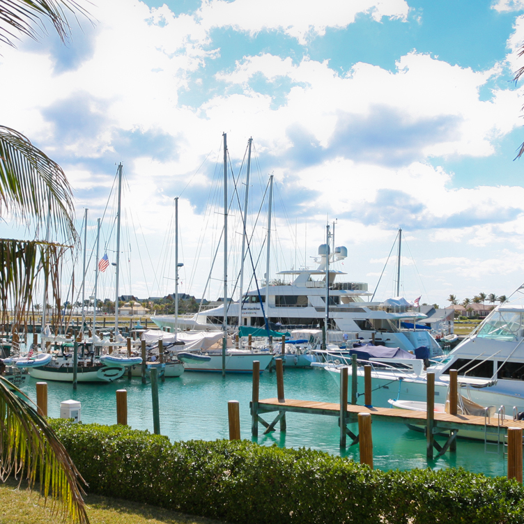 marina-752x752