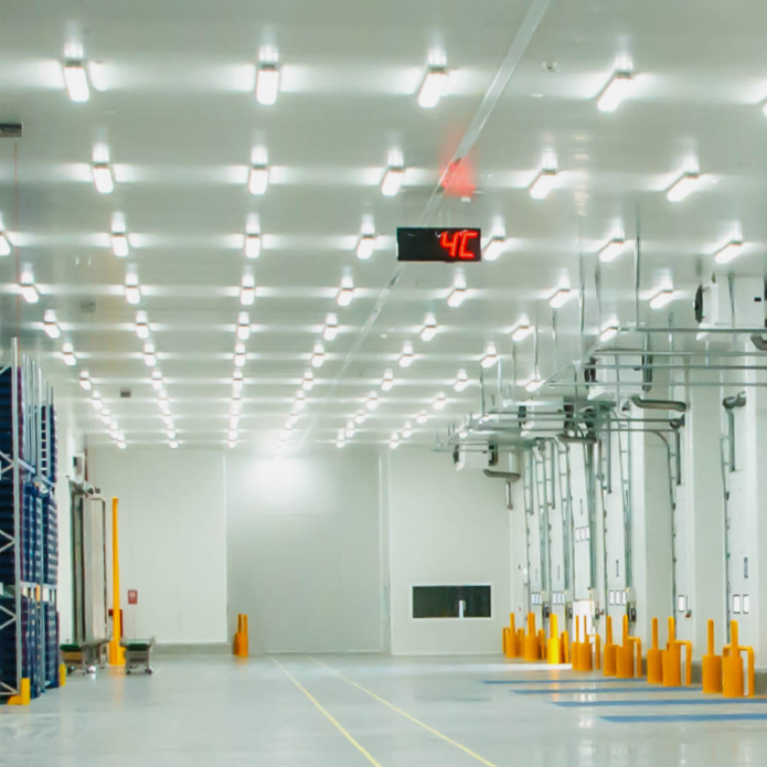 industrial-and-logistics-food-facilities-and-cold-storage-695x695
