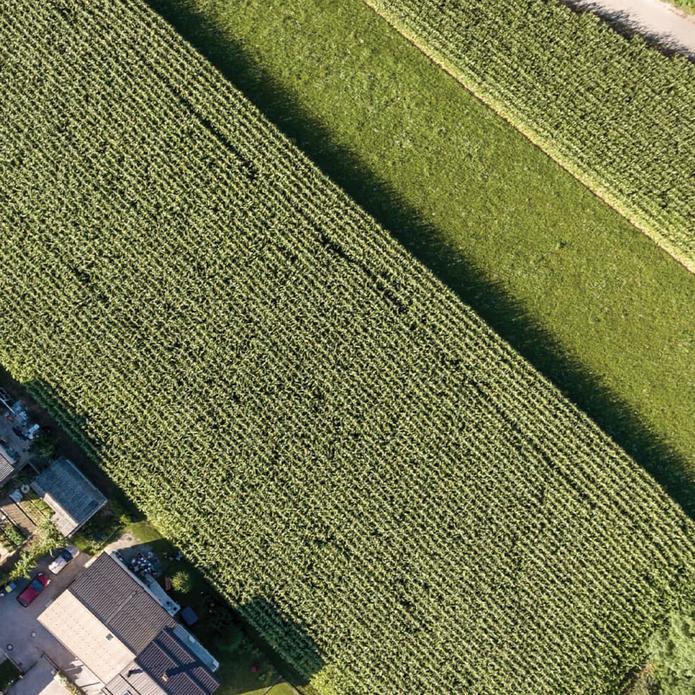 land-services-695x695