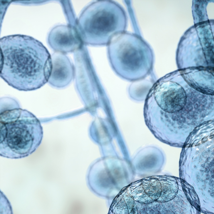 life-sciences_752x752