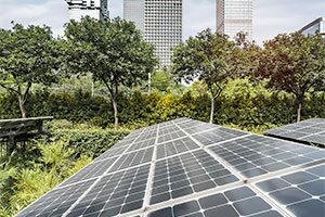 Sustainability Solutions