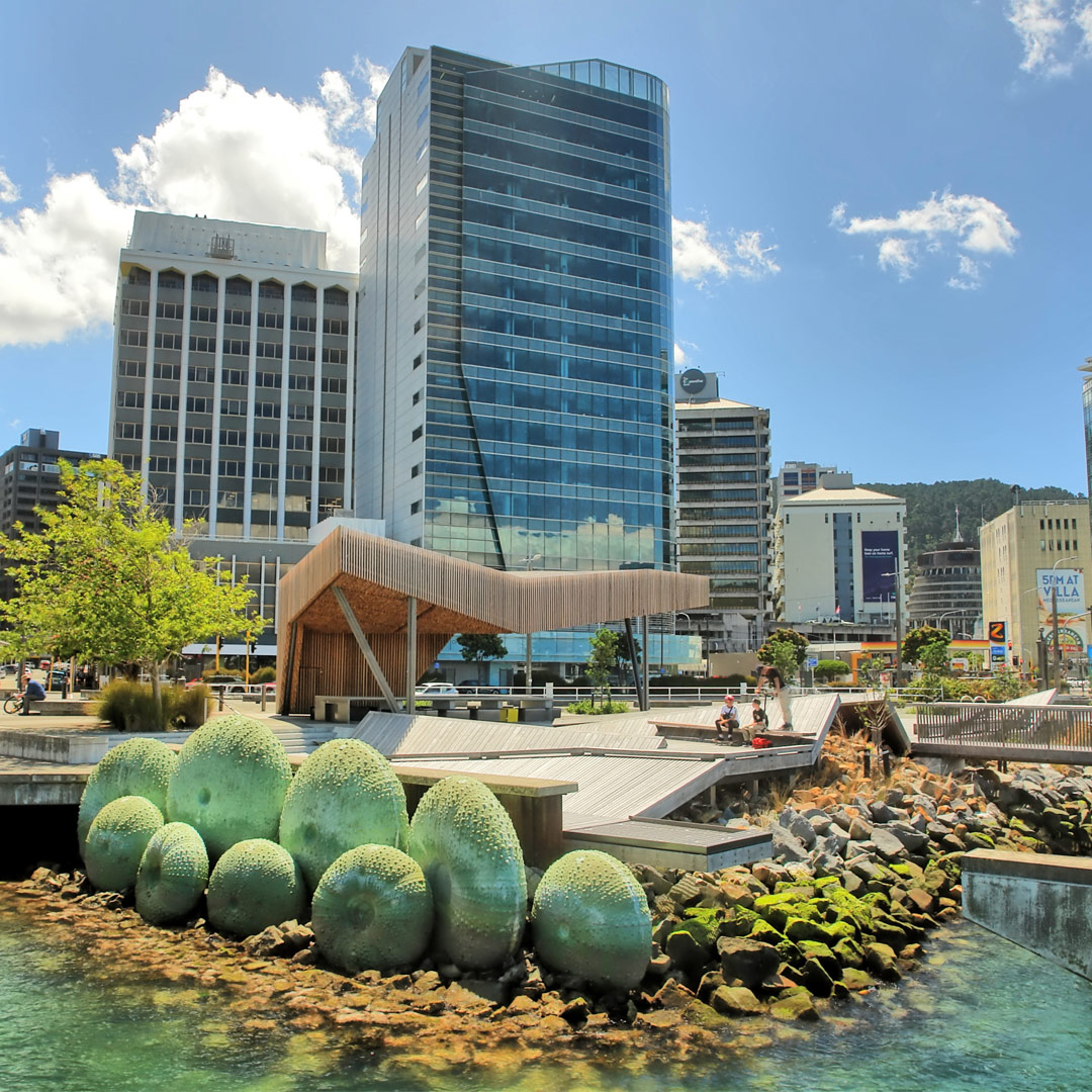 new-zealand-market-outlook-2024-1080x1080