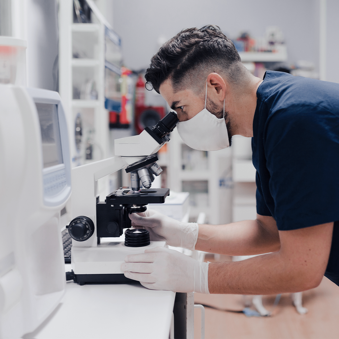 A scientist in a lab coat and gloves uses a microscope while wearing a face mask.