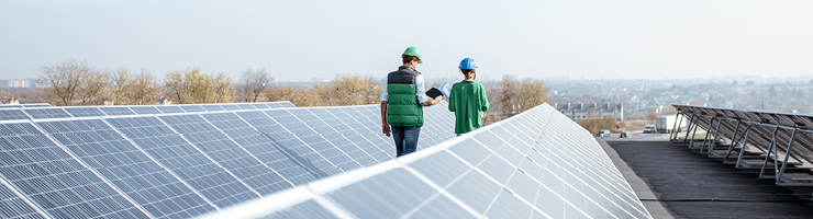 workers inspect solar panels
