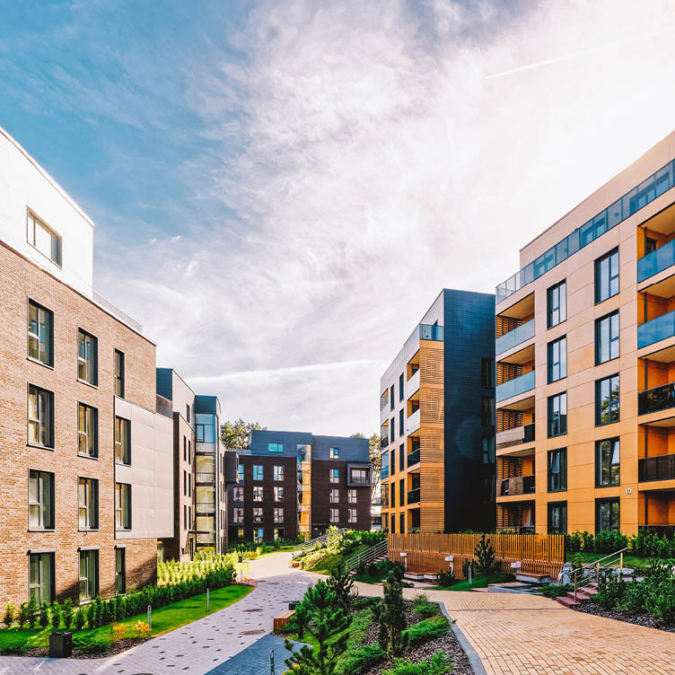property-insights-nz-auckland-local response-cbre-752x752