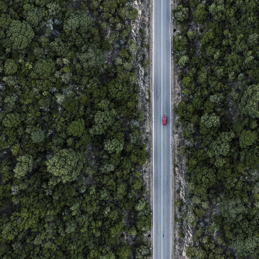 Driving in the woods