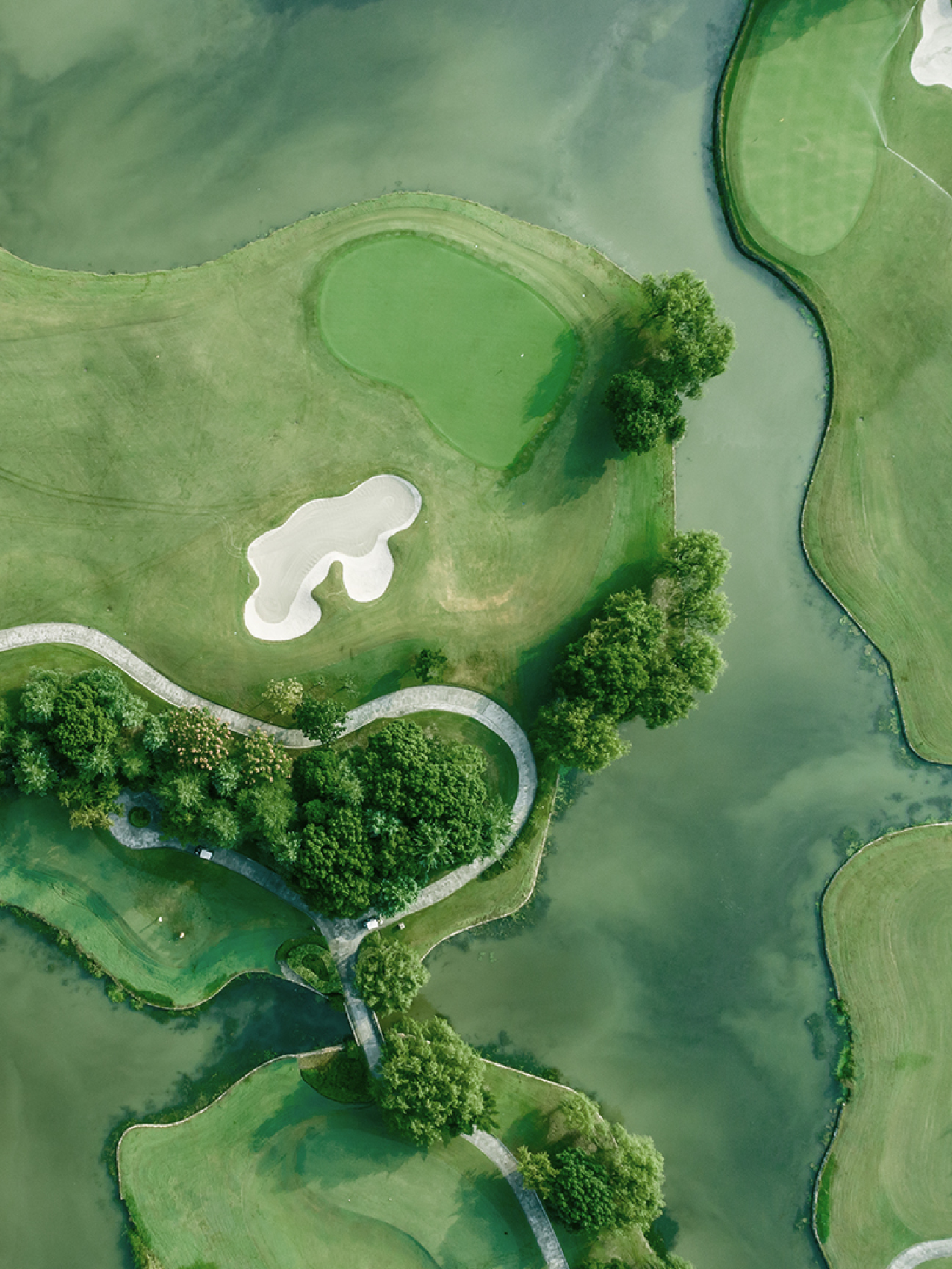 Golf Course