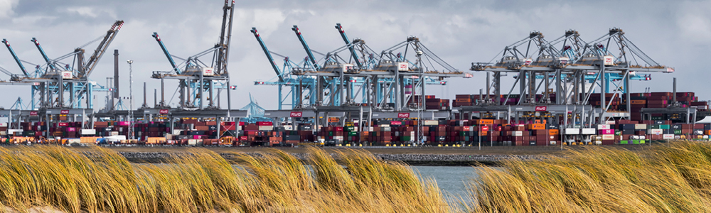 GSR22-Body-1000x300_07-Rotterdam