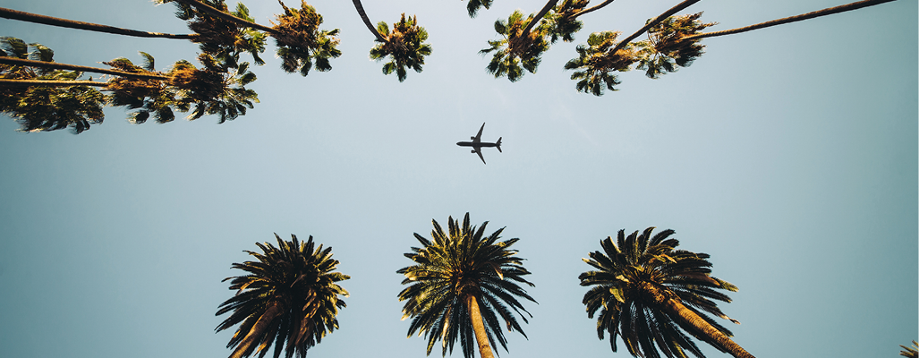 Image of palm trees and an airplane in the sky