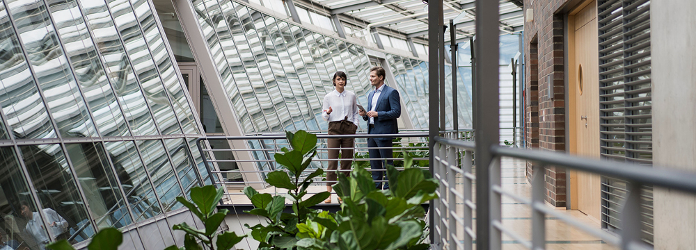 Image of office employees talking