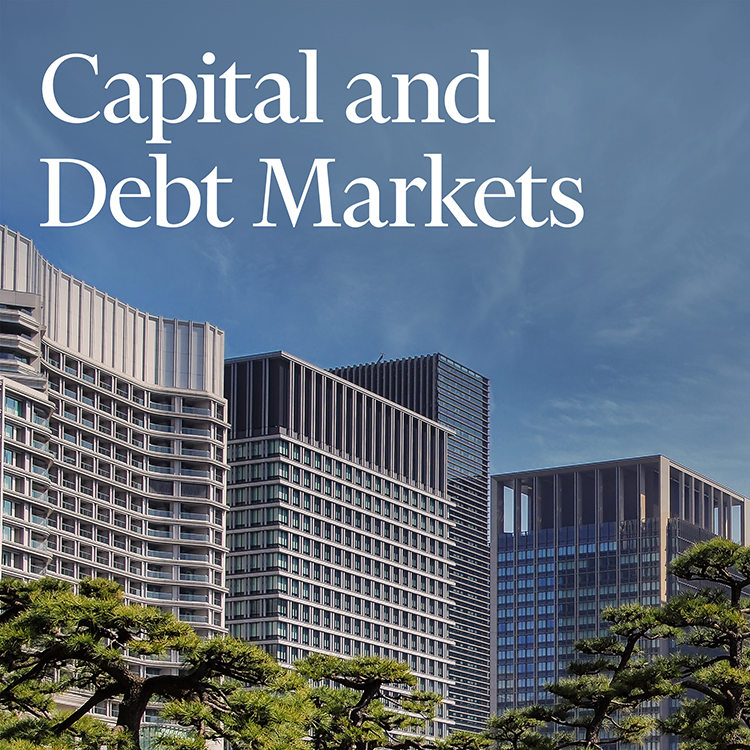 midyear-global-real-estate-market-outlook-2024_Capital Markets