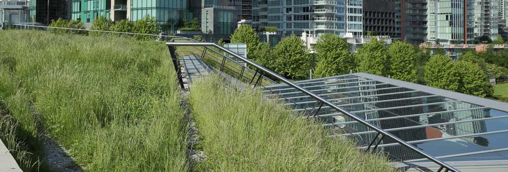 Image of solar panels in a garden