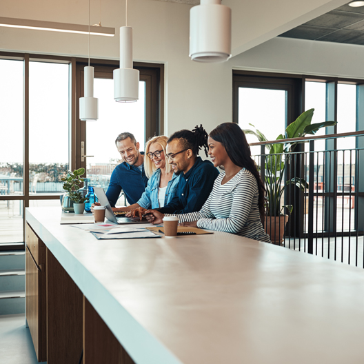 EMEA Flex Report 2021 528x528