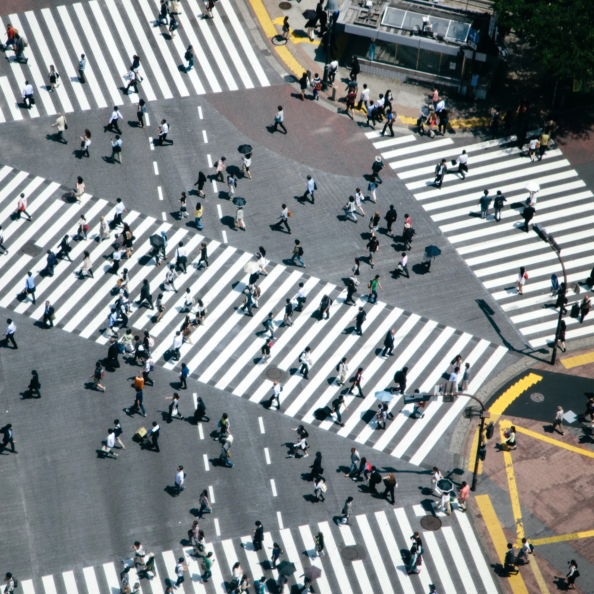 A busy pedestrian crossing in Japan shows many people crossing at the same time.
