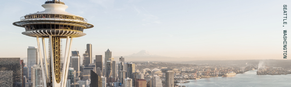 Skyline view