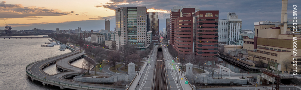 Highway through city