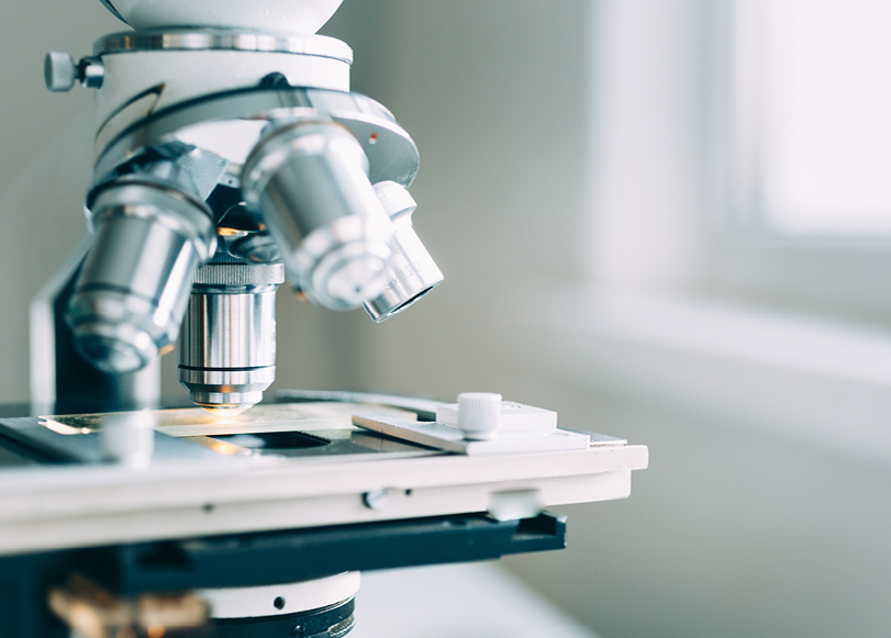 us-life-sciences-talent-2022-report-cta-811x581