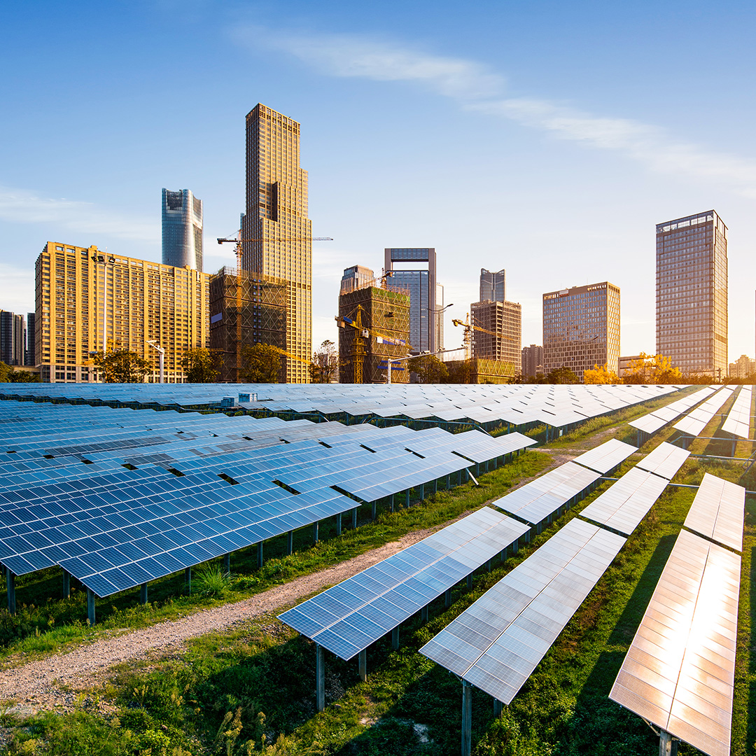 solar panels in field with city skyline behind