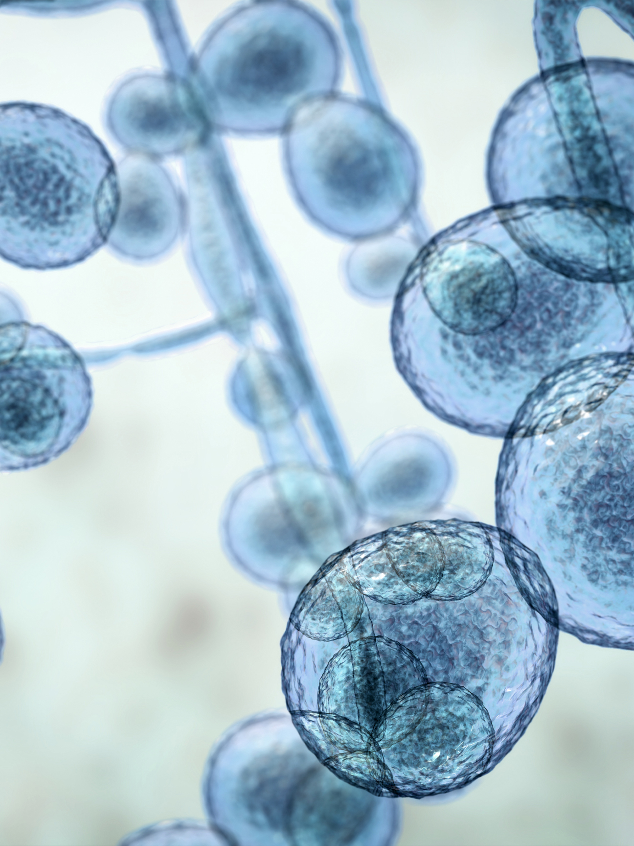 life-sciences-hero-972x1296_a
